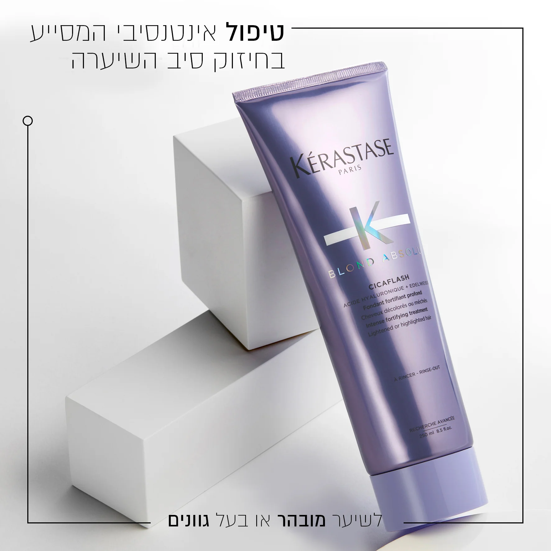 תמונה ממוזערת 2