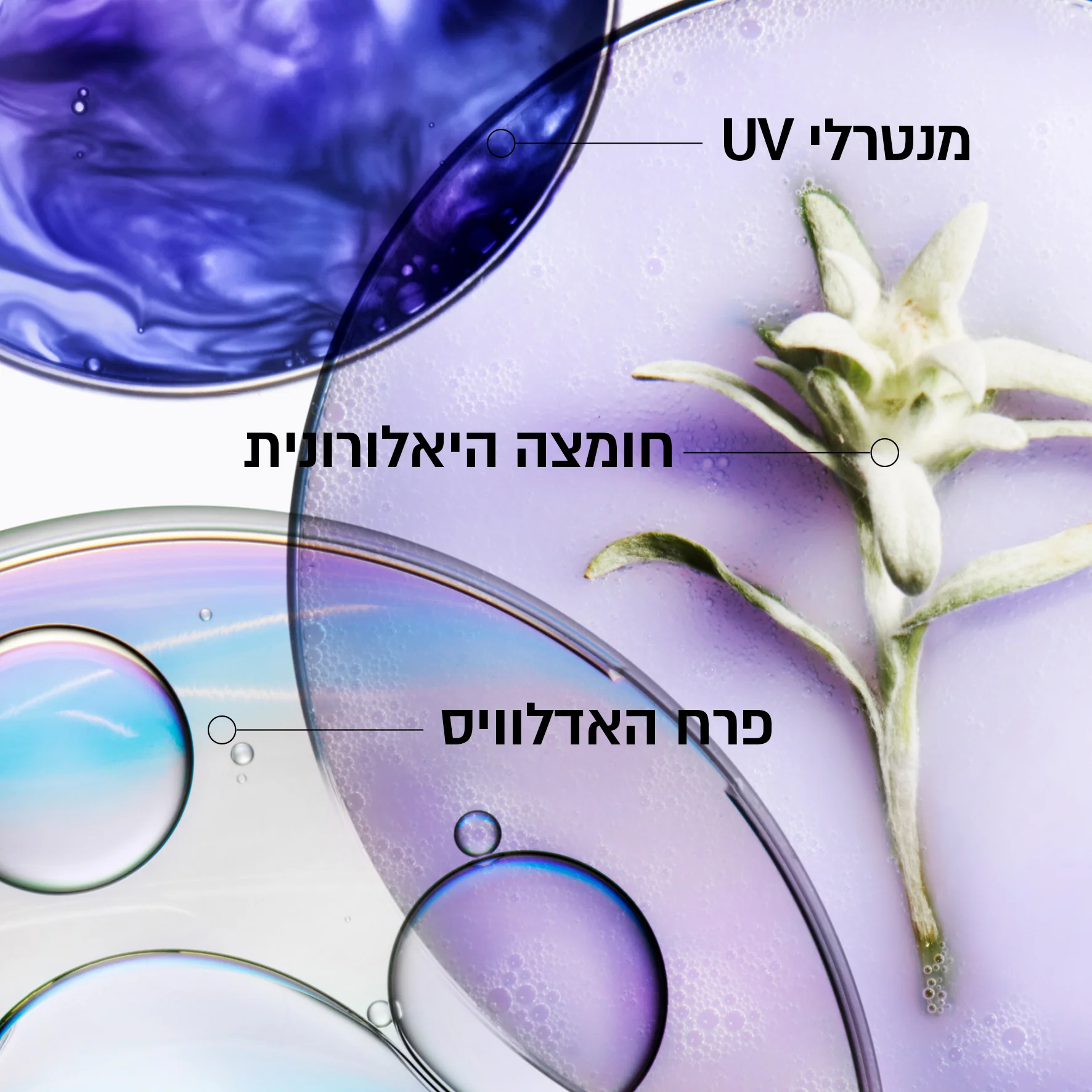 תמונת מוצר 6