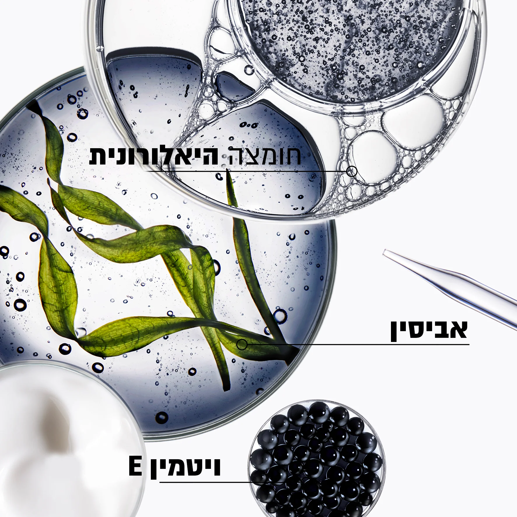 תמונת מוצר 6