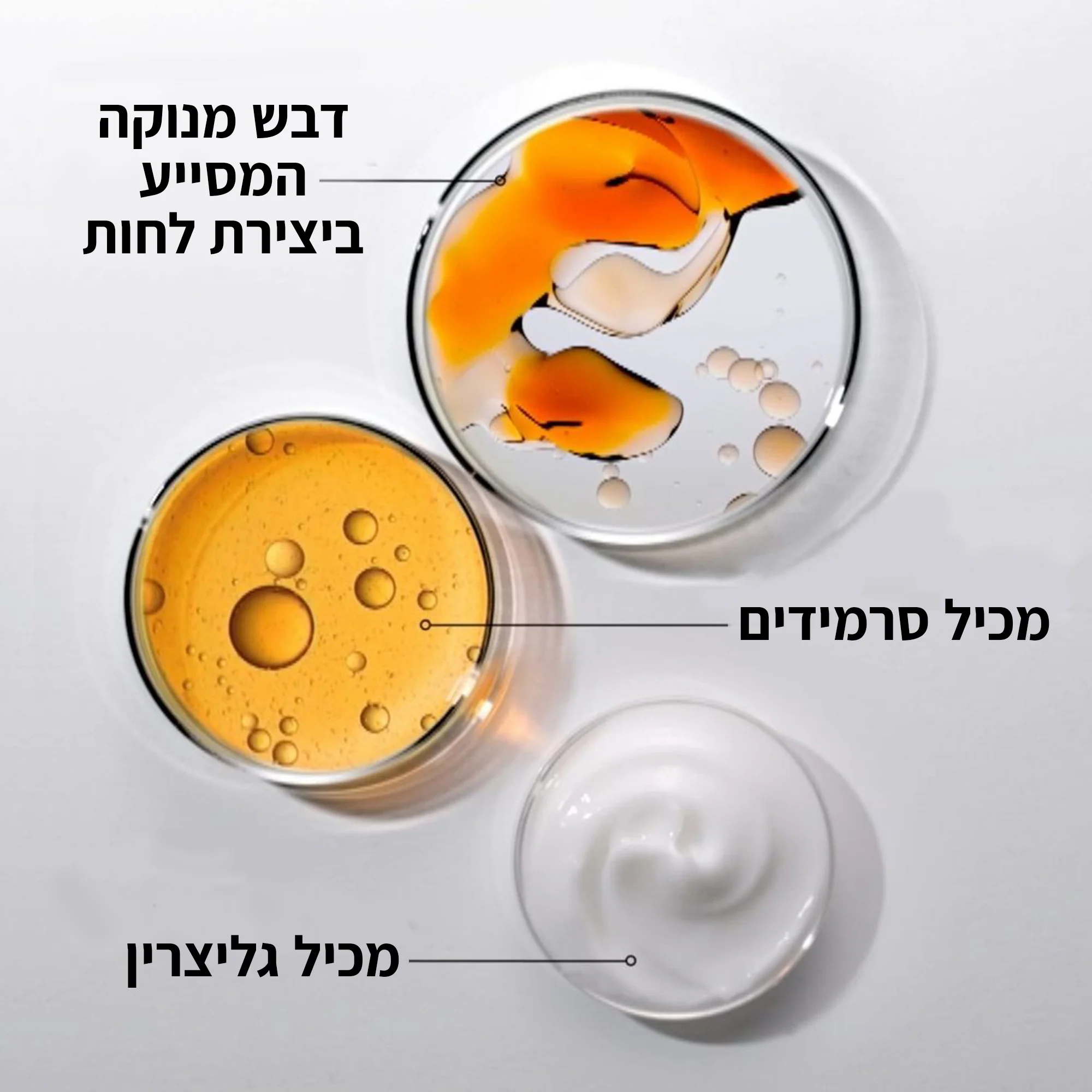 תמונת מוצר 7