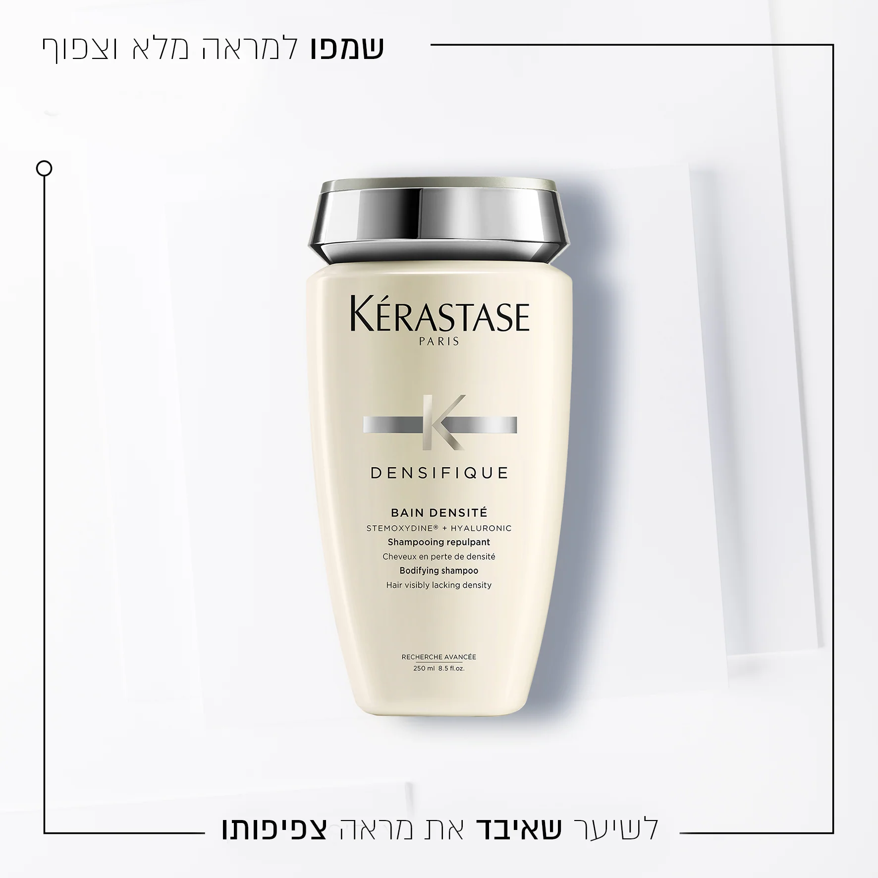תמונה ממוזערת 2