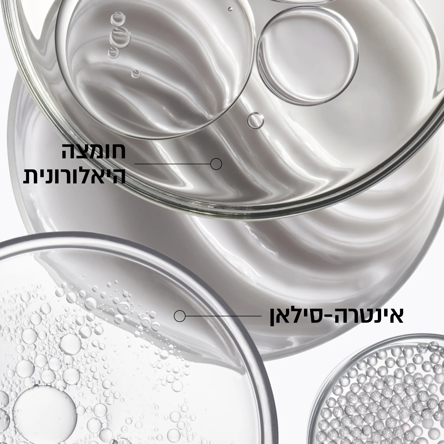 תמונת מוצר 4