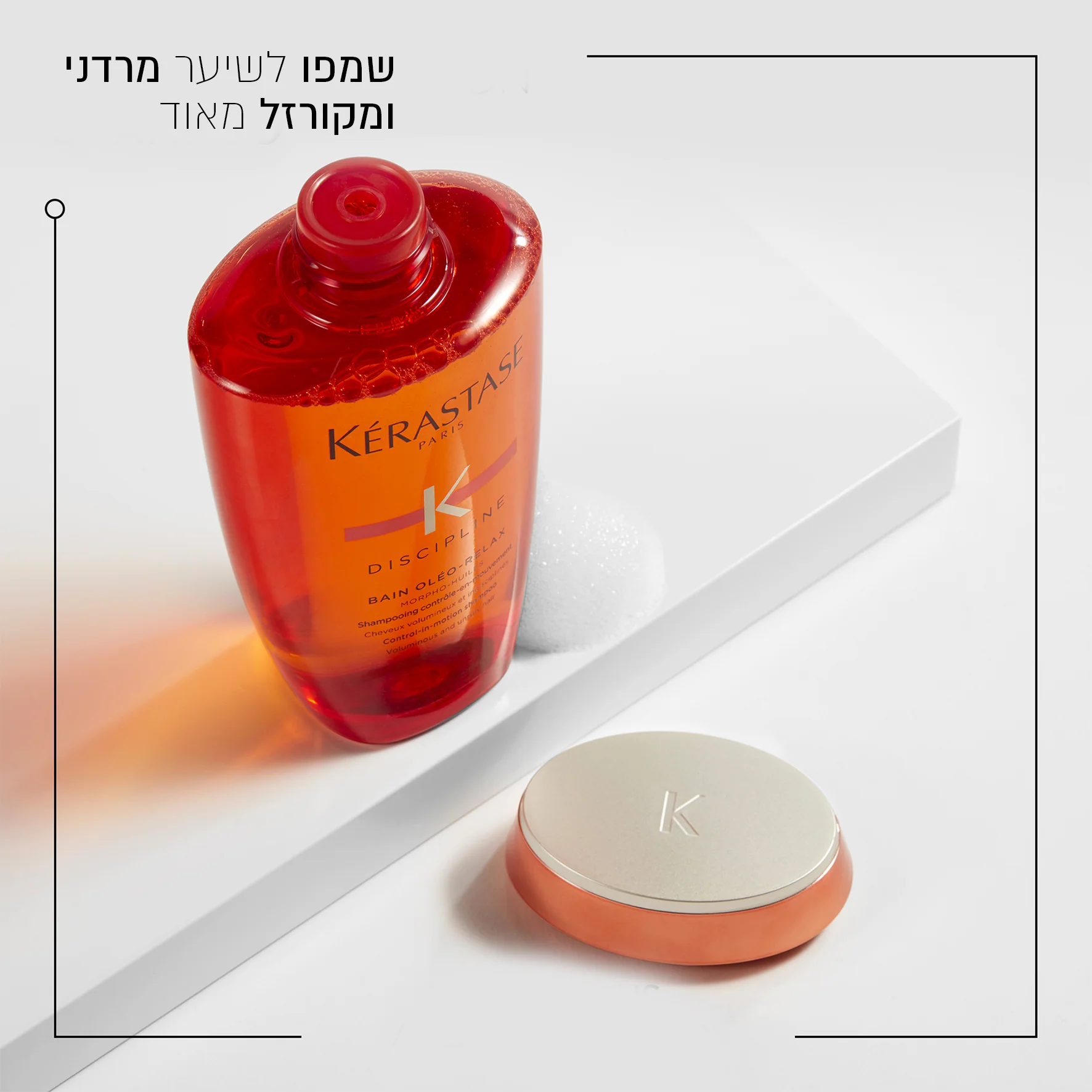 תמונה ממוזערת 2