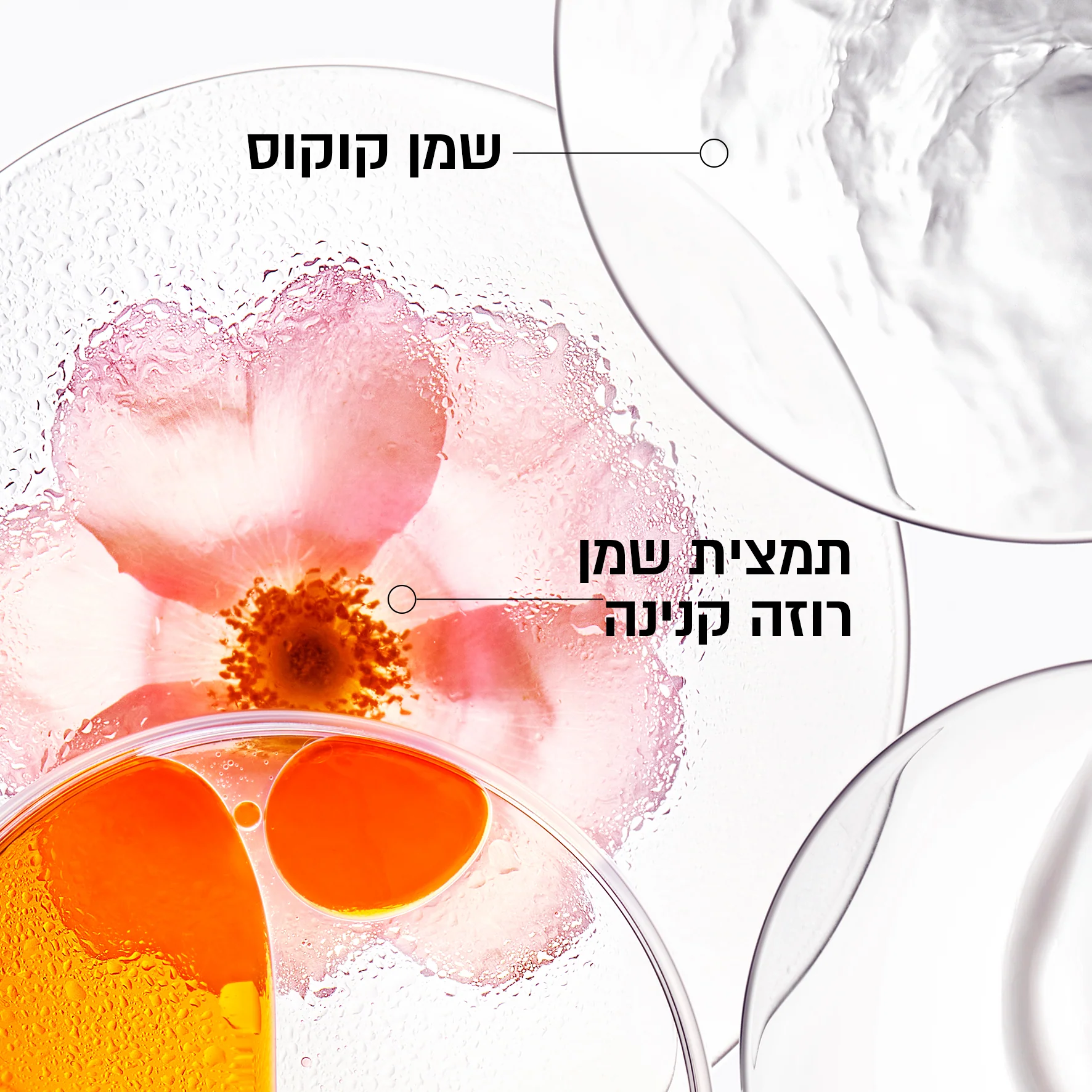 תמונת מוצר 3