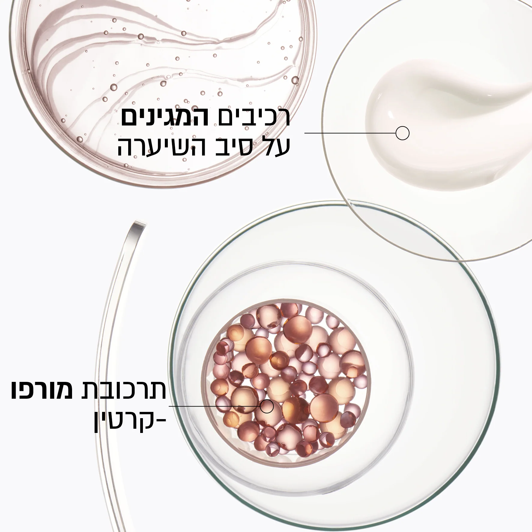 תמונת מוצר 4