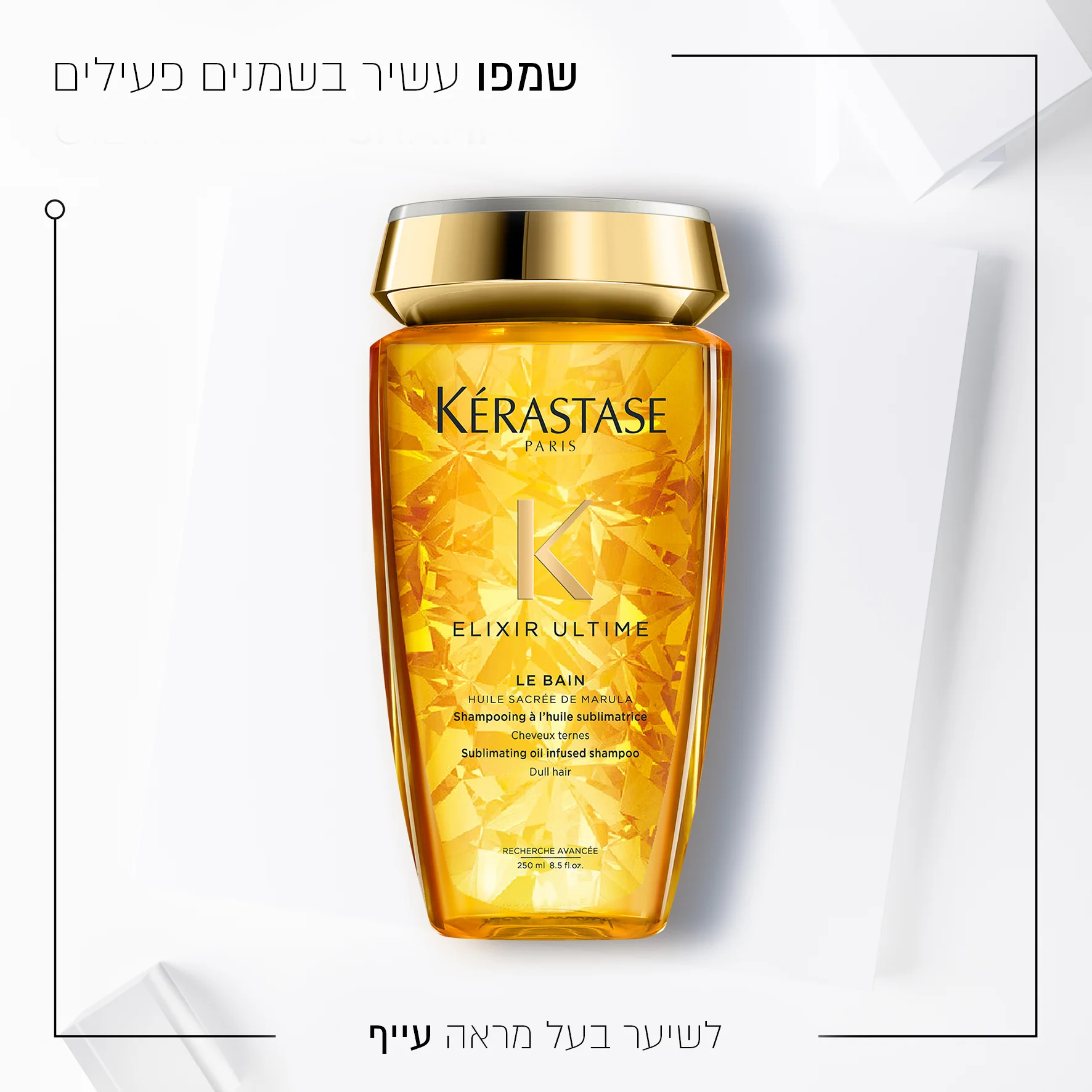 תמונה ממוזערת 2