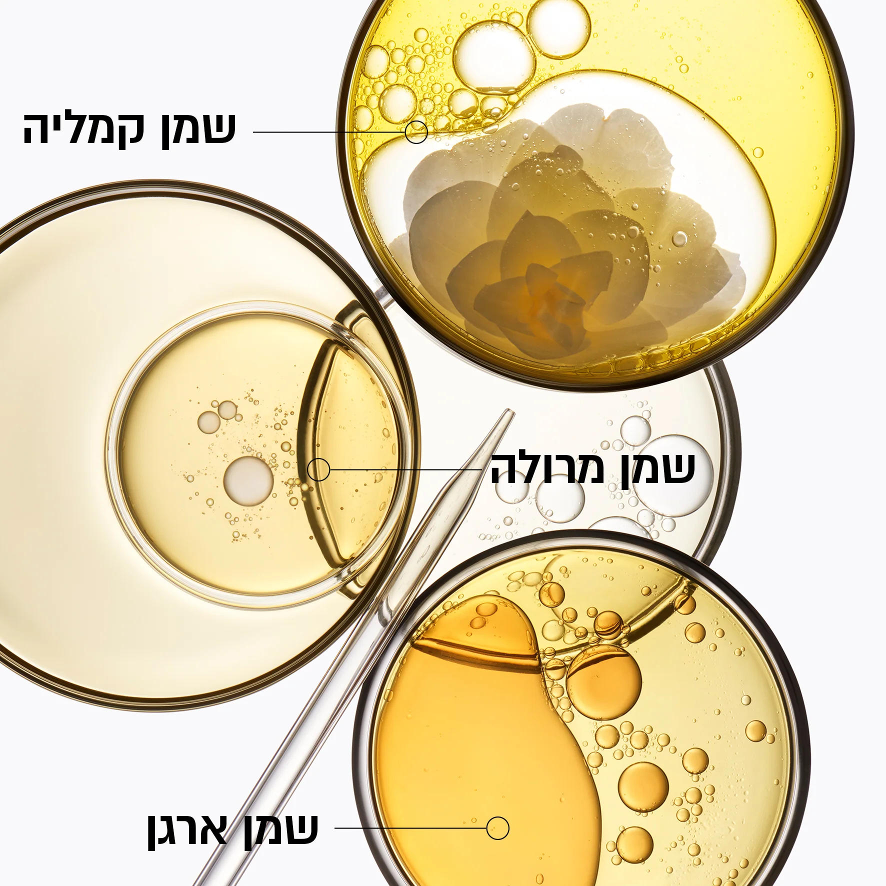 תמונת מוצר 5