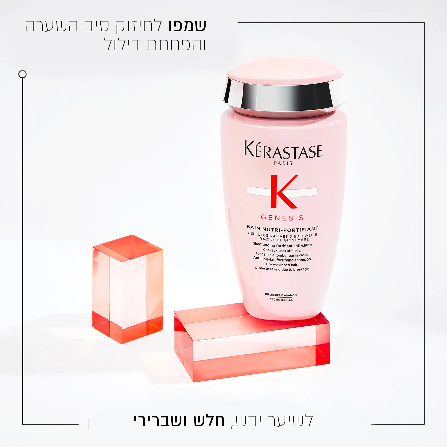 תמונה ממוזערת 2