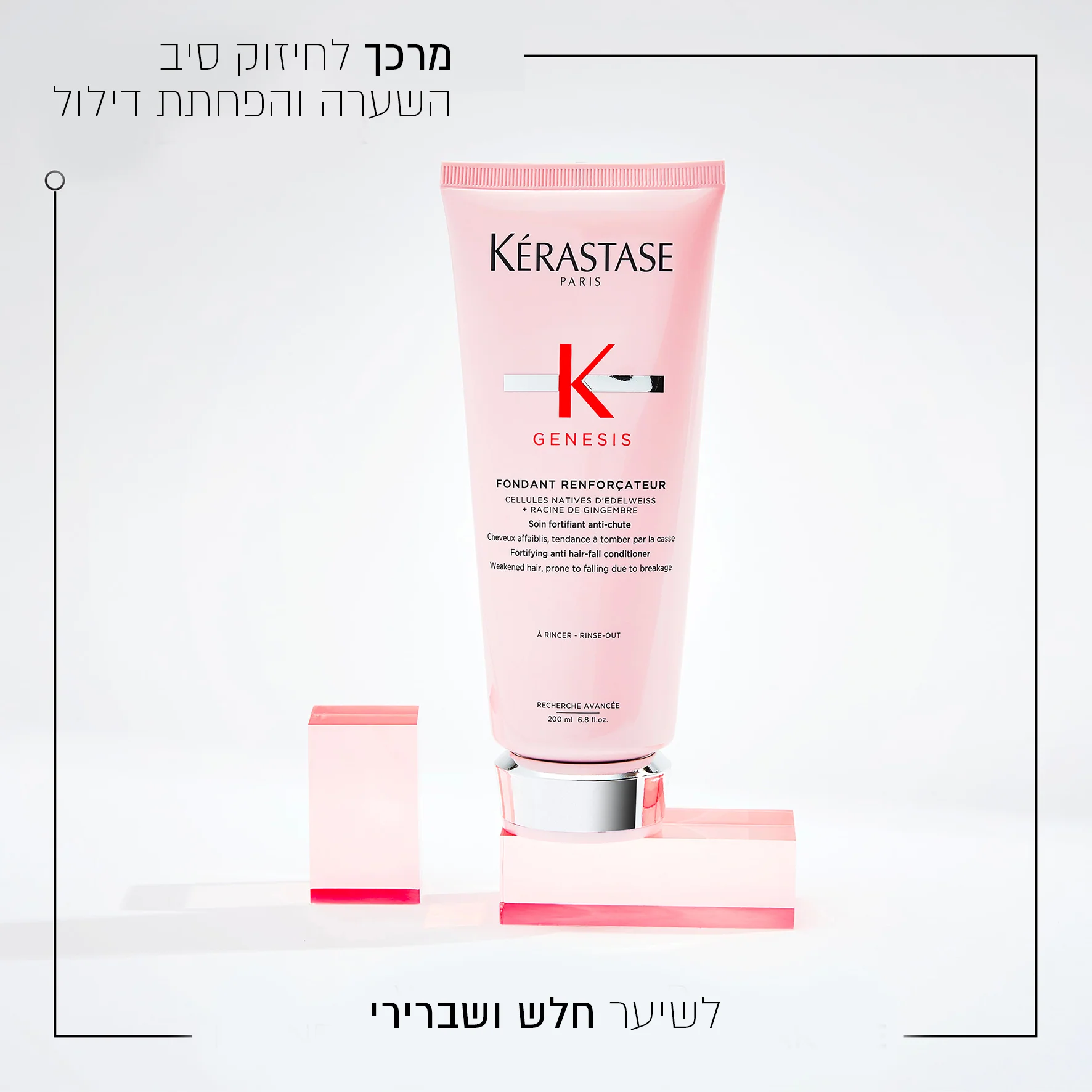 תמונה ממוזערת 2