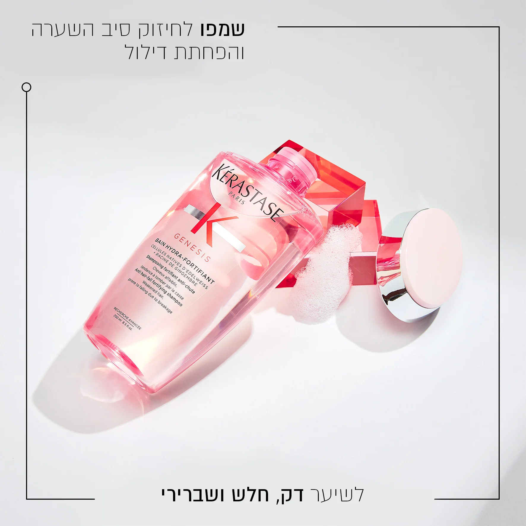 תמונה ממוזערת 2