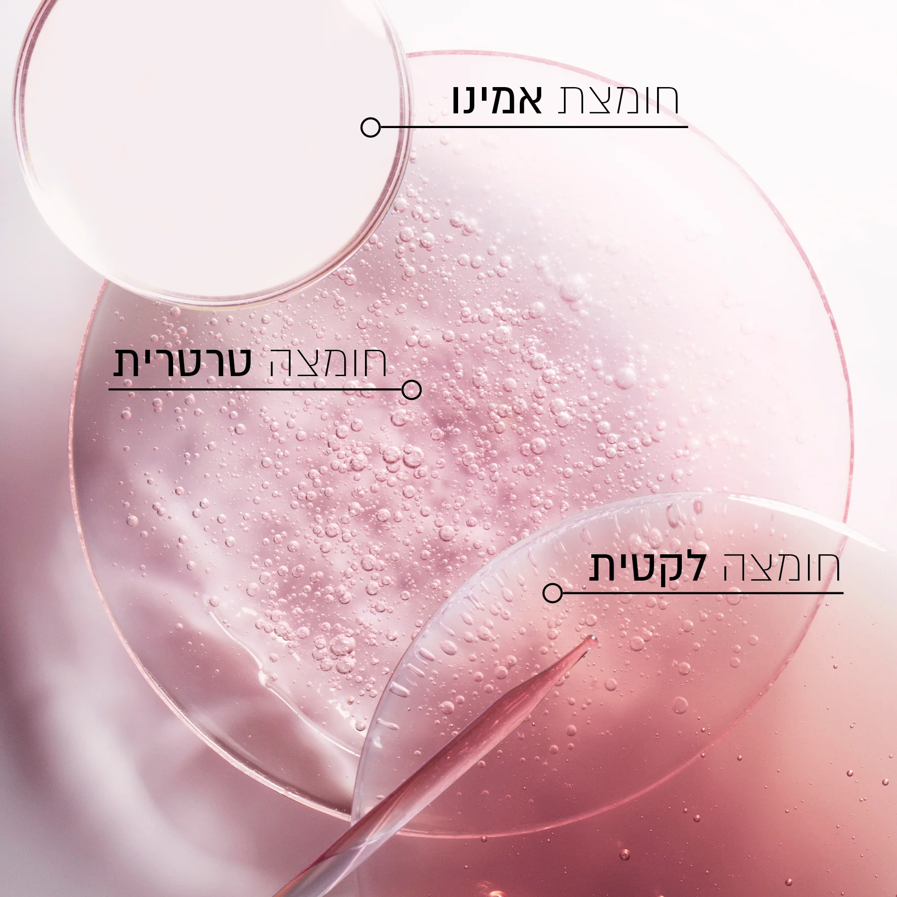 תמונת מוצר 5