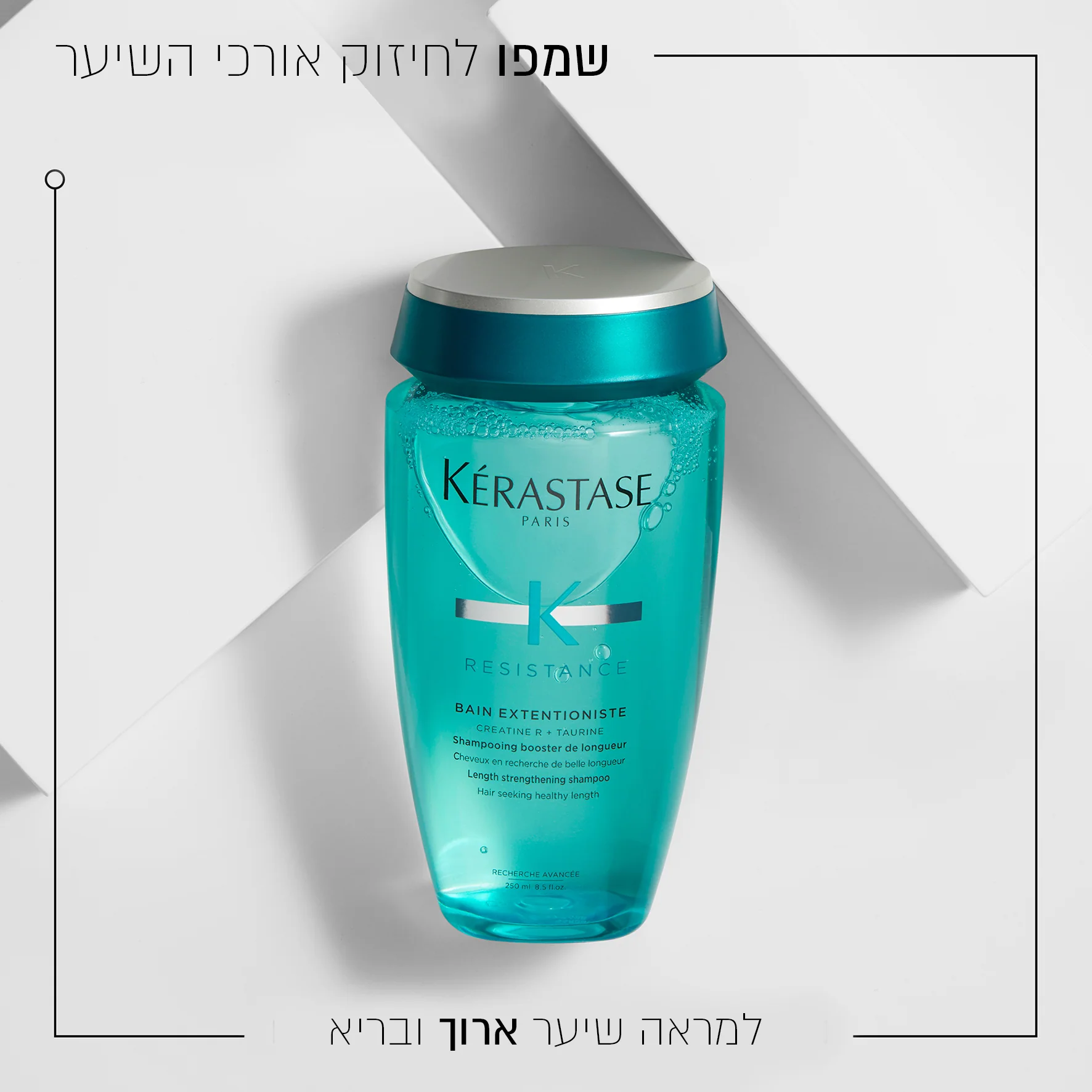 תמונה ממוזערת 2