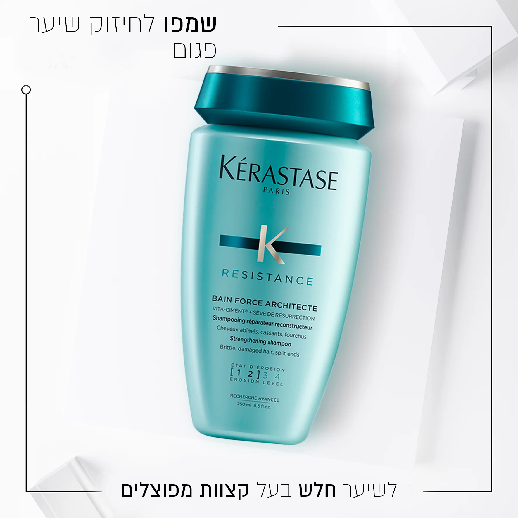 תמונה ממוזערת 2