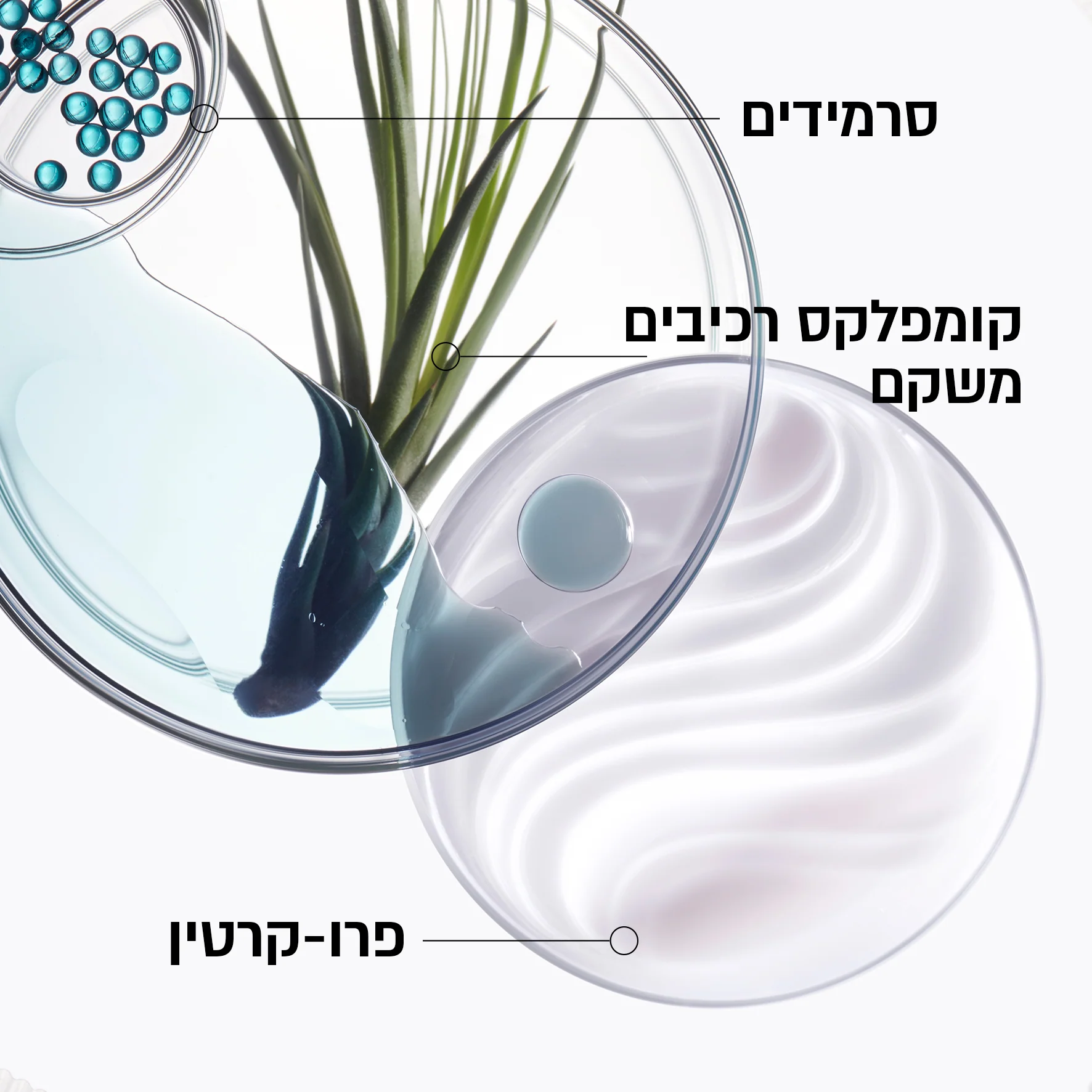 תמונת מוצר 4