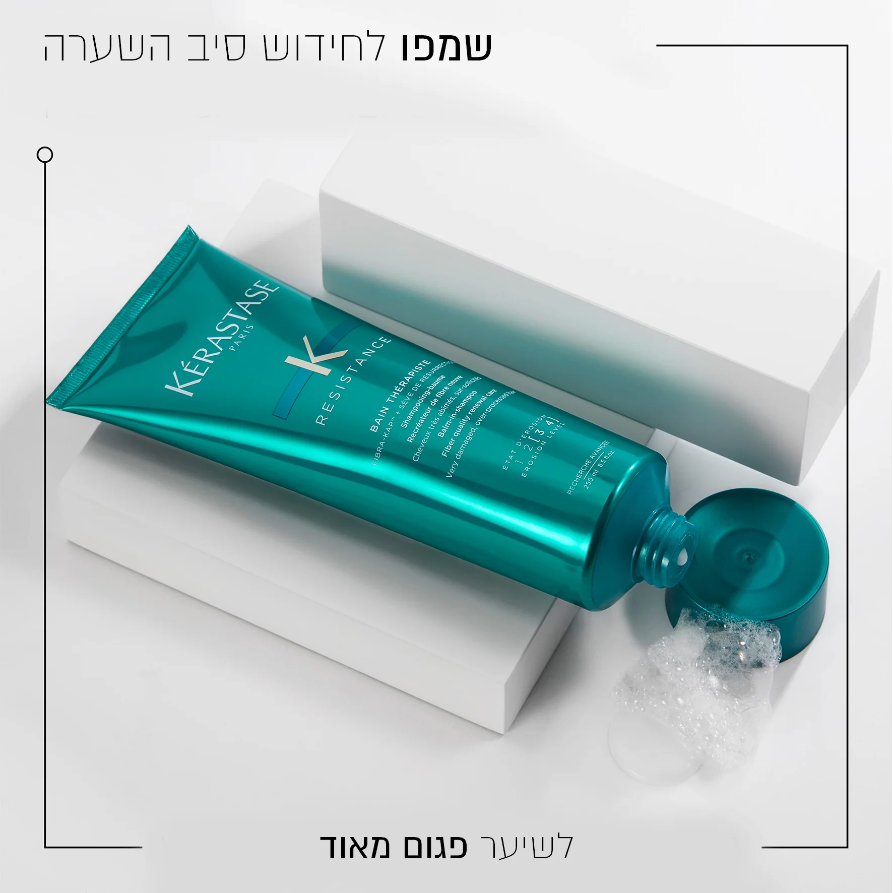 תמונה ממוזערת 2