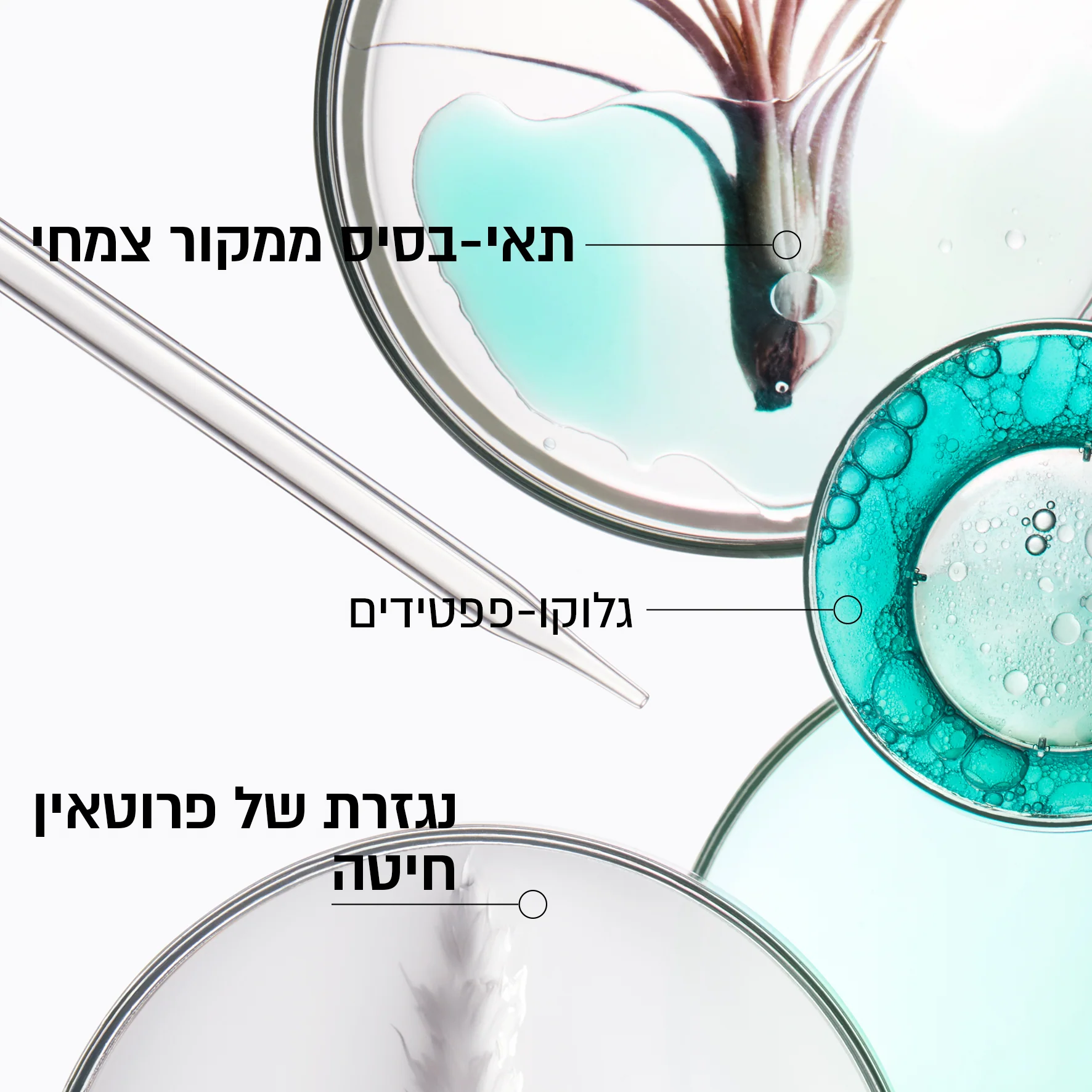 תמונת מוצר 3