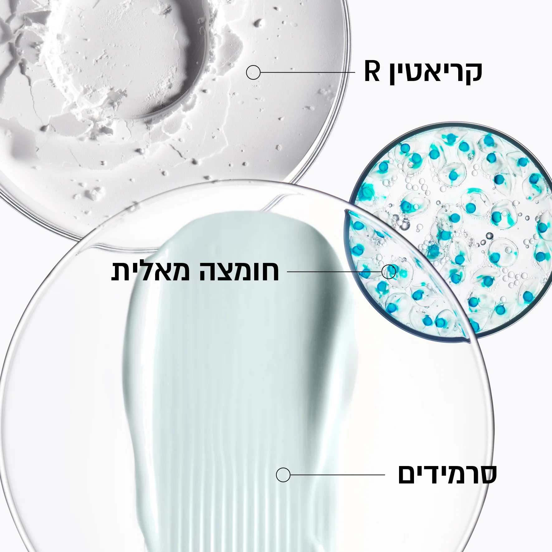 תמונת מוצר 3