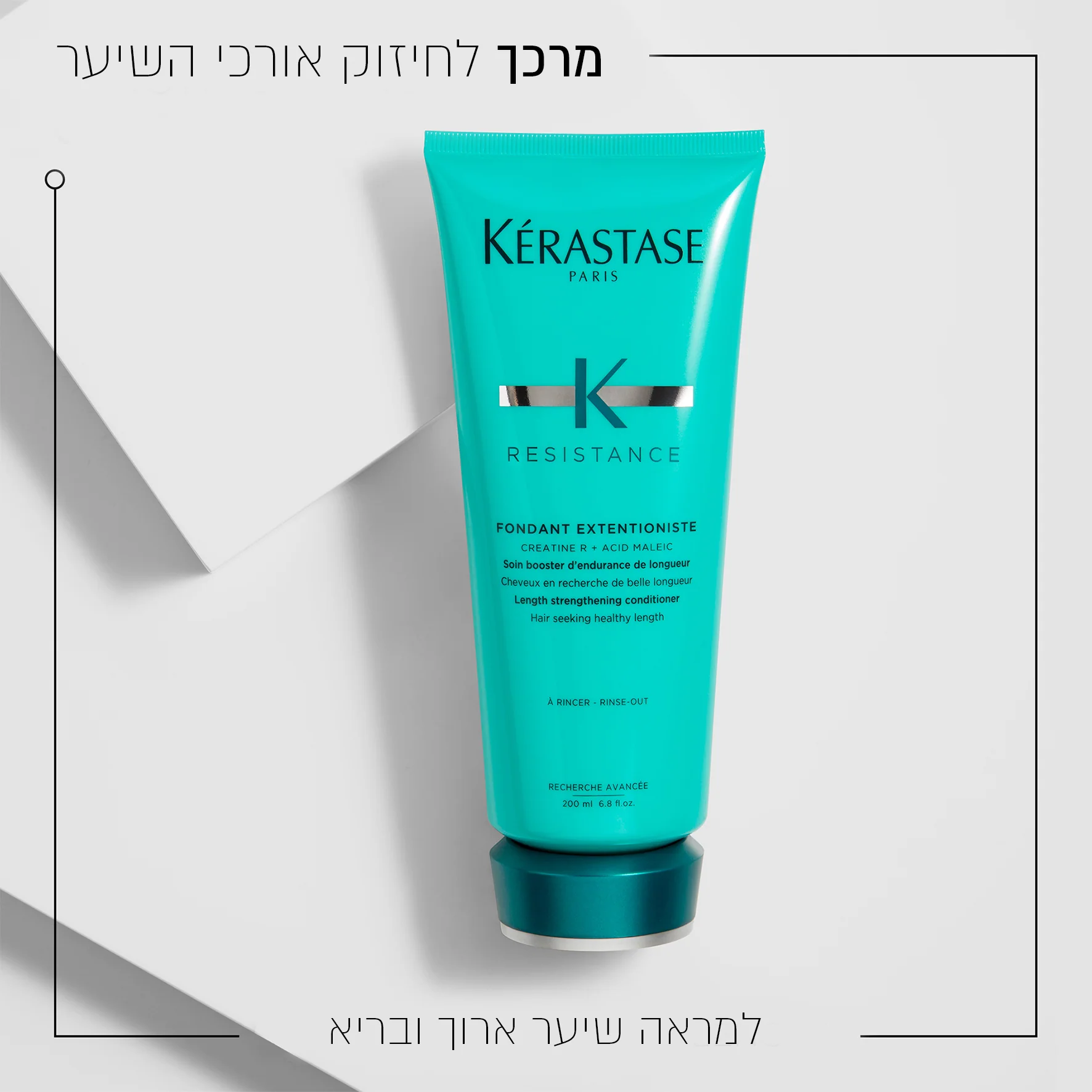 תמונה ממוזערת 2