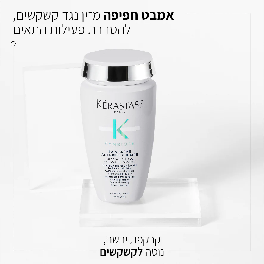 תמונה ממוזערת 2