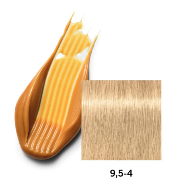תמונת מוצר 4